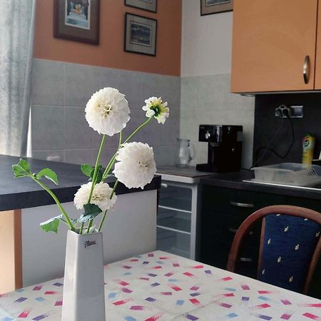 Apartman Ulehla 兹林 外观 照片