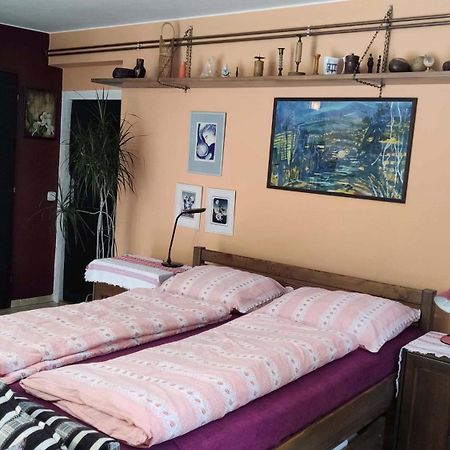 Apartman Ulehla 兹林 外观 照片