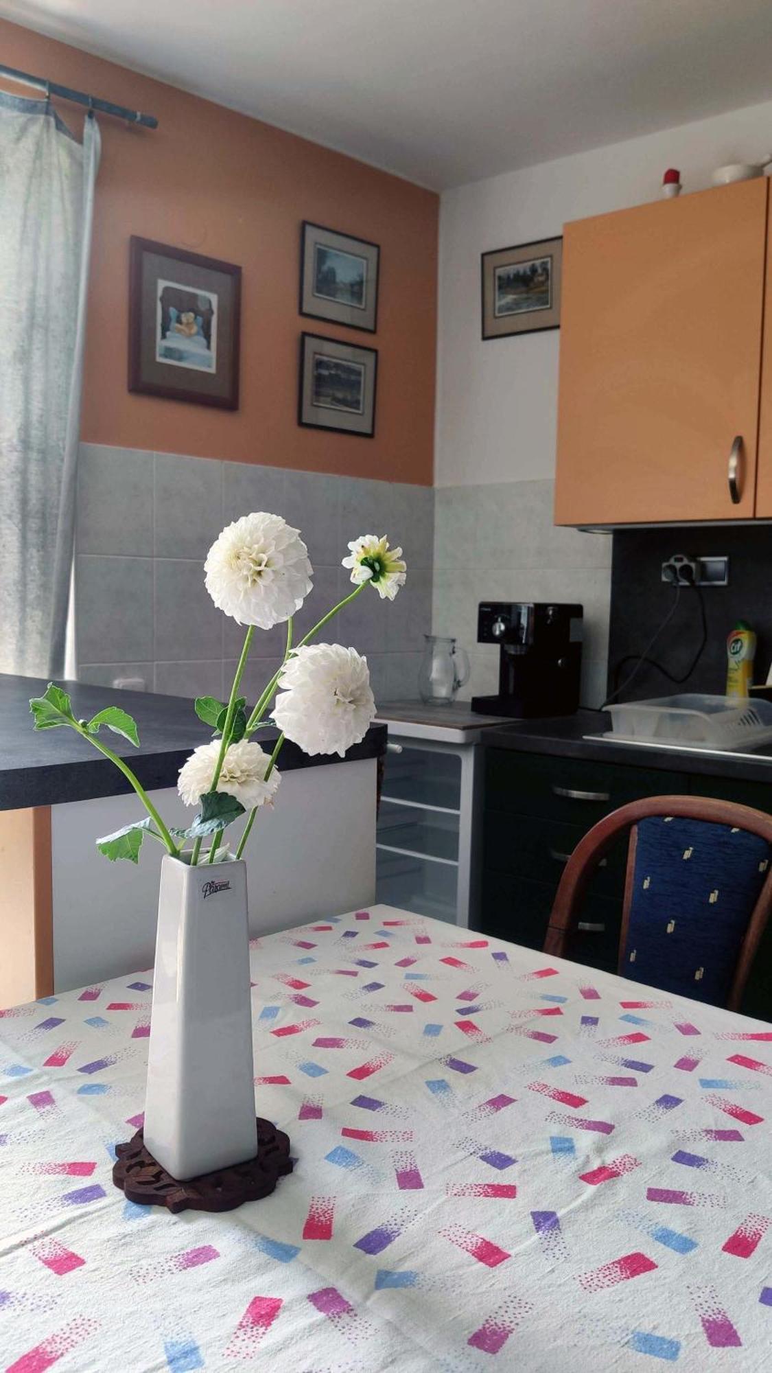 Apartman Ulehla 兹林 外观 照片