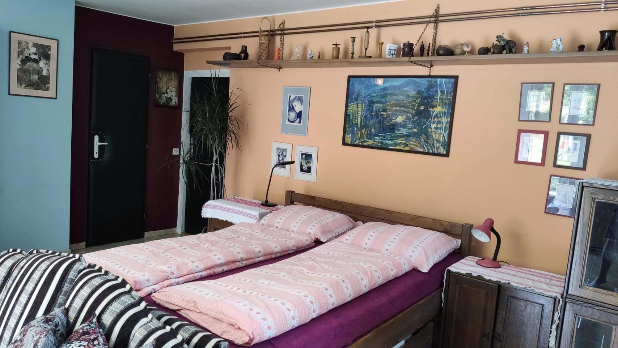 Apartman Ulehla 兹林 外观 照片